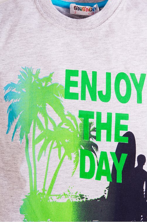 Футболка для мальчика SHISHCO