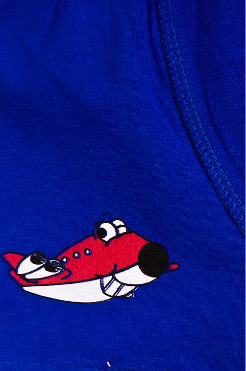 Трусы для мальчика SHISHCO