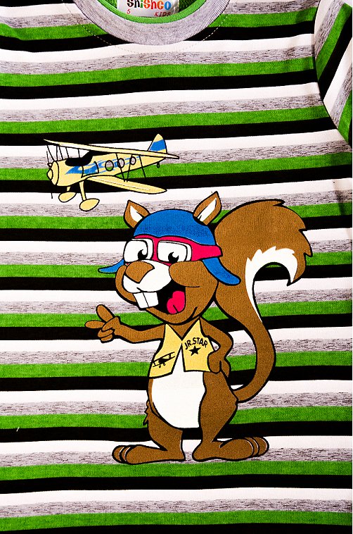 Лонгслив для мальчика SHISHCO