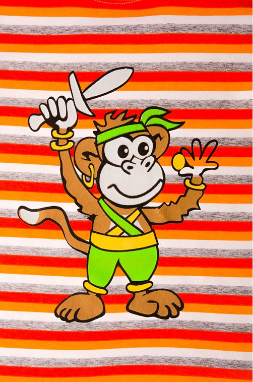 Лонгслив для мальчика SHISHCO