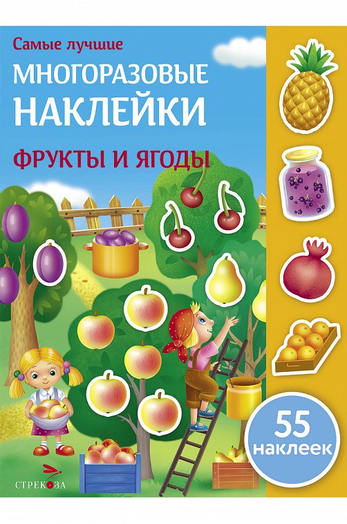 Книжка с многоразовыми наклейками Стрекоза