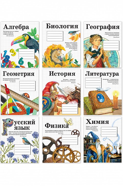 Набор тетрадей предметных 48 л. 9 шт. Стрекоза