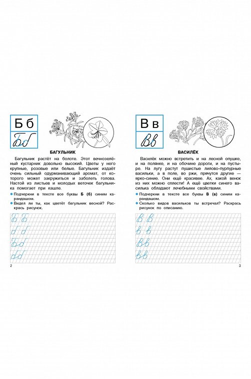 Набор прописей для первого класса 32 стр. 2 шт. Стрекоза