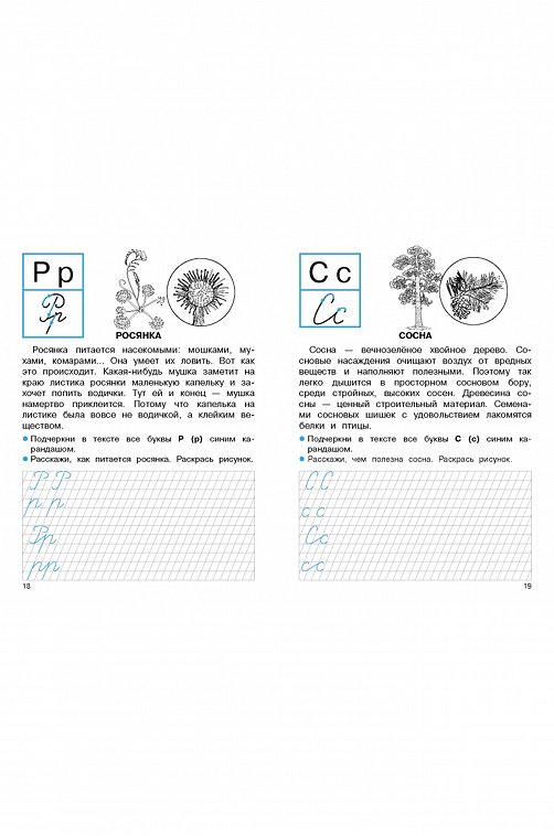 Набор прописей для первого класса 32 стр. 2 шт. Стрекоза