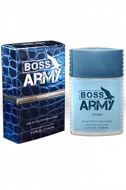 Вода туалетная мужская Boss Army Storm 100 мл Today Parfum