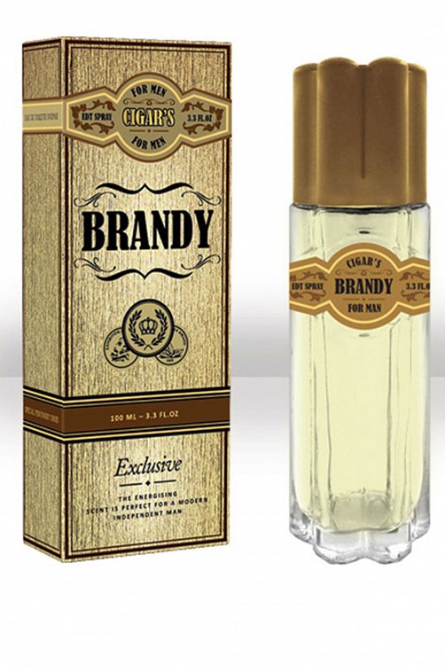 Вода туалетная мужская Cigar's Brandy 100 мл Today Parfum
