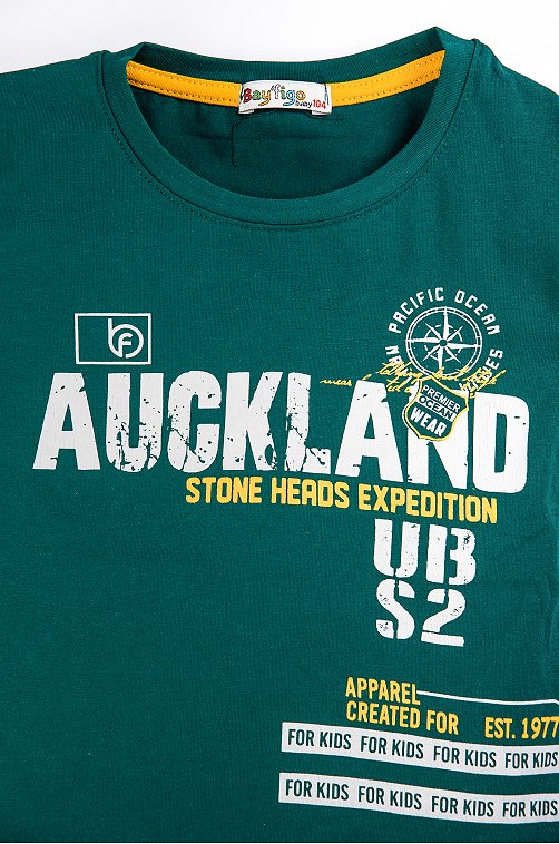 Джемпер для мальчика BayFigo