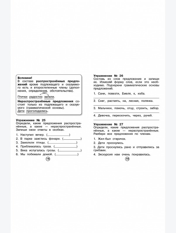 Набор рабочих тетрадей для младшего школьника 3 шт. по 32 стр. Стрекоза