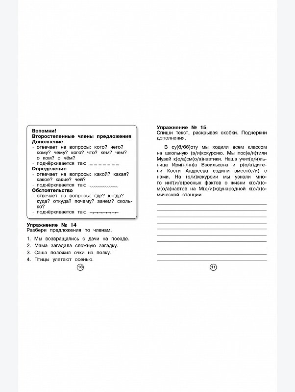 Набор рабочих тетрадей для младшего школьника 3 шт. по 32 стр. Стрекоза
