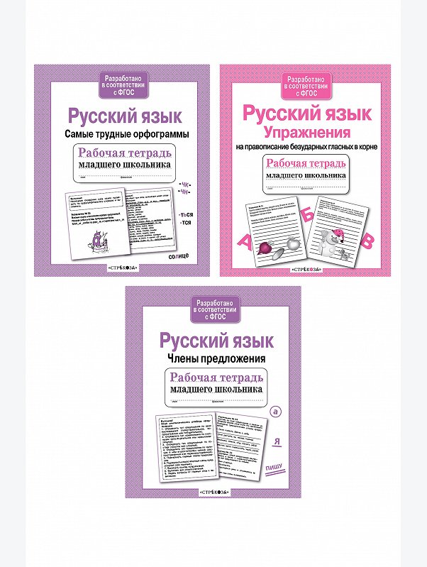 Набор рабочих тетрадей для младшего школьника 3 шт. по 32 стр. Стрекоза
