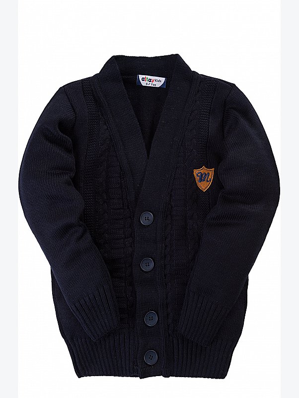 Утепленный джемпер для мальчика Altay kids