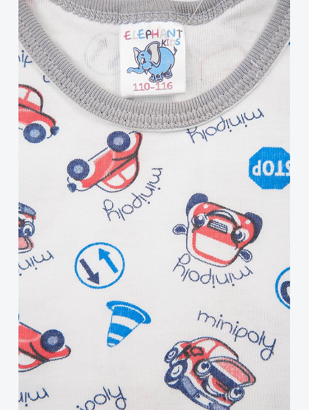 Комплект для мальчика Elephant Kids