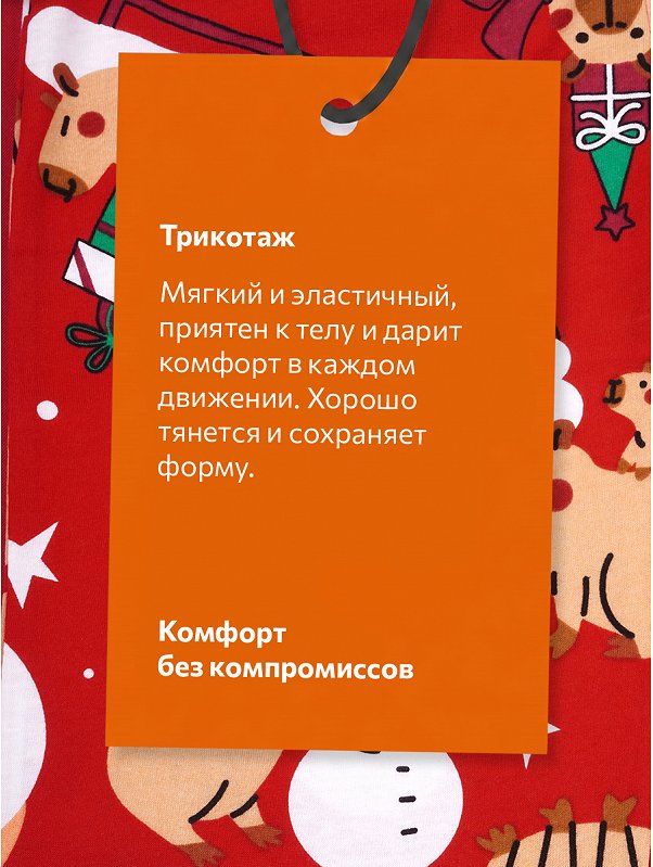 Детская новогодняя пижама Happyfox