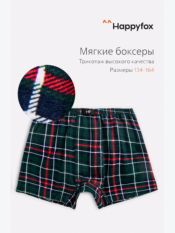 Трусы для мальчика Happyfox