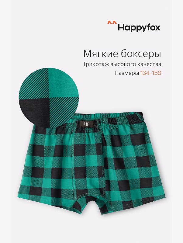 Трусы для мальчика Happyfox