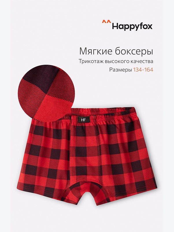 Трусы для мальчика Happyfox