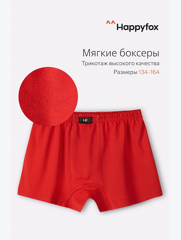 Трусы для мальчика Happyfox