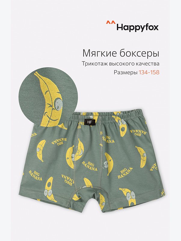Трусы для мальчика Happyfox