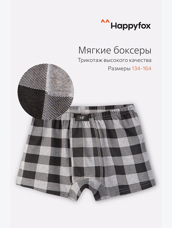 Трусы для мальчика Happyfox