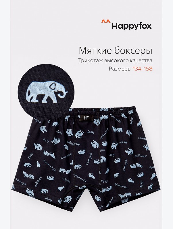 Трусы для мальчика Happyfox
