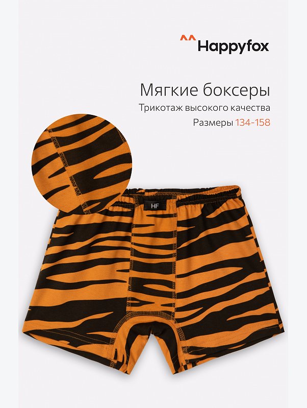 Трусы для мальчика Happyfox