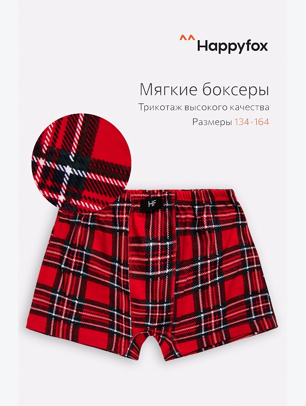 Трусы для мальчика Happyfox