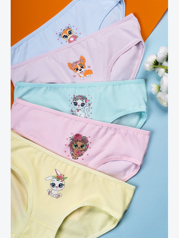 Трусы для девочки 5шт. Happyfox