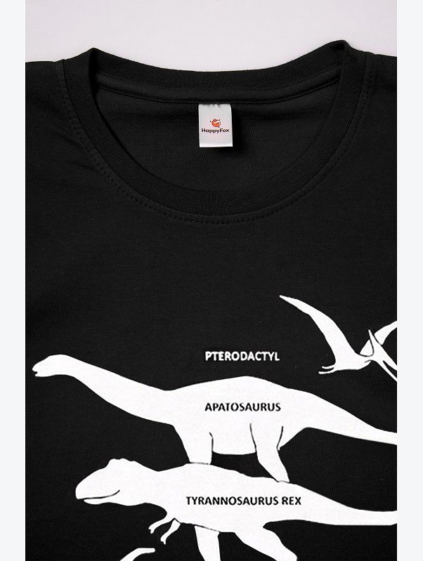 Футболка для мальчика Happyfox