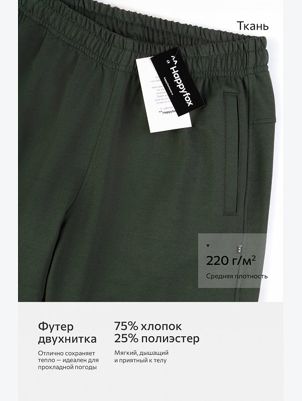 Мужские брюки из футера двухнитки Happyfox