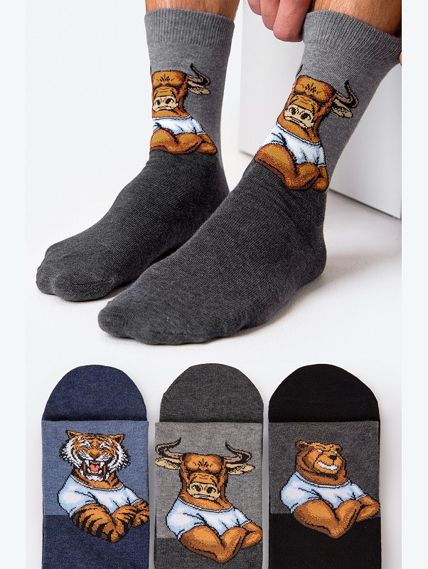 Мужские носки 3 пары Happyfox