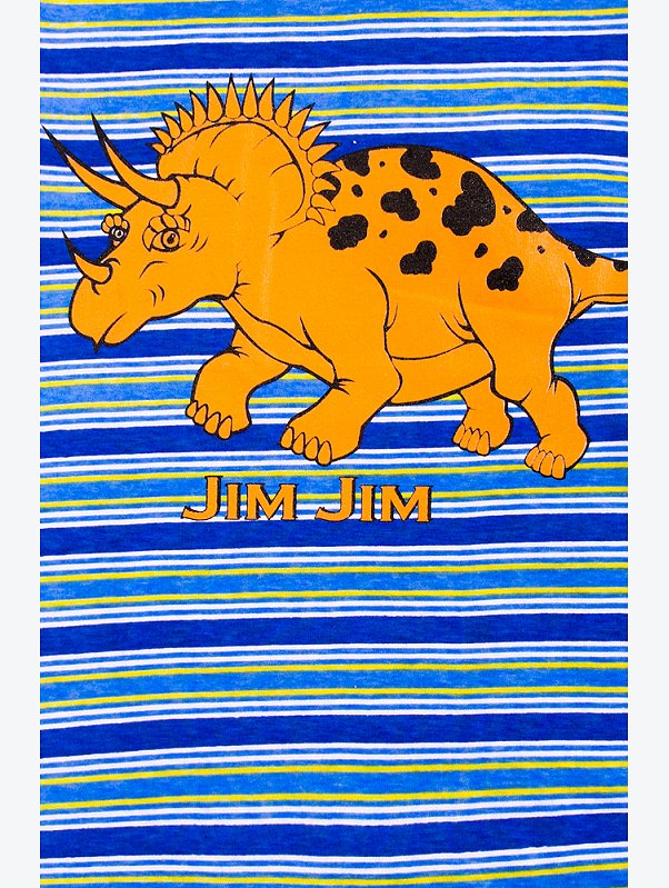 Футболка для мальчика JIMJIM