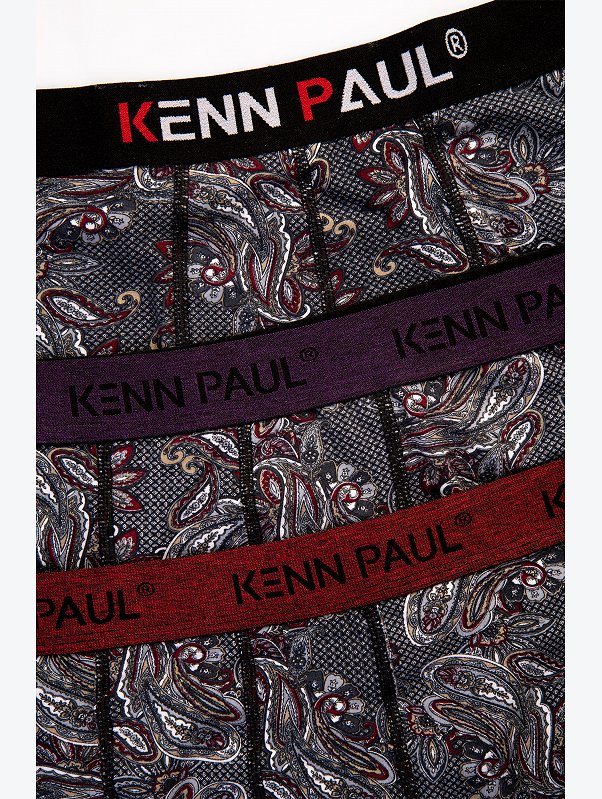 Мужские трусы-боксеры Kenn Paul