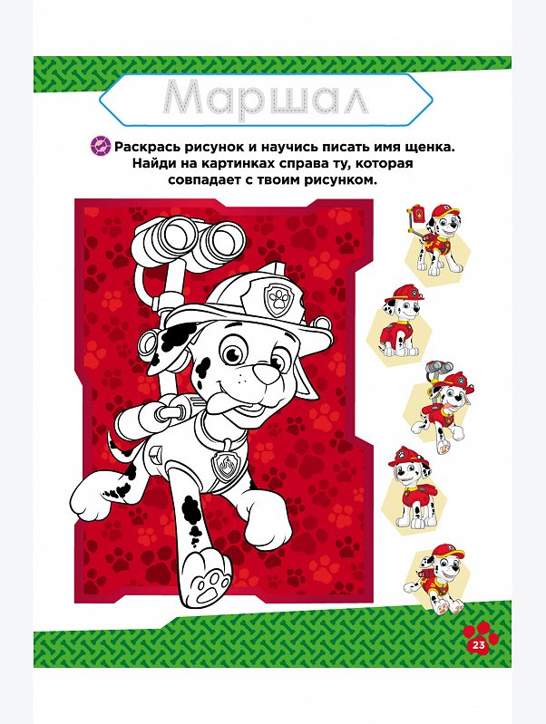 Развивающая книга 32 стр. ND Play
