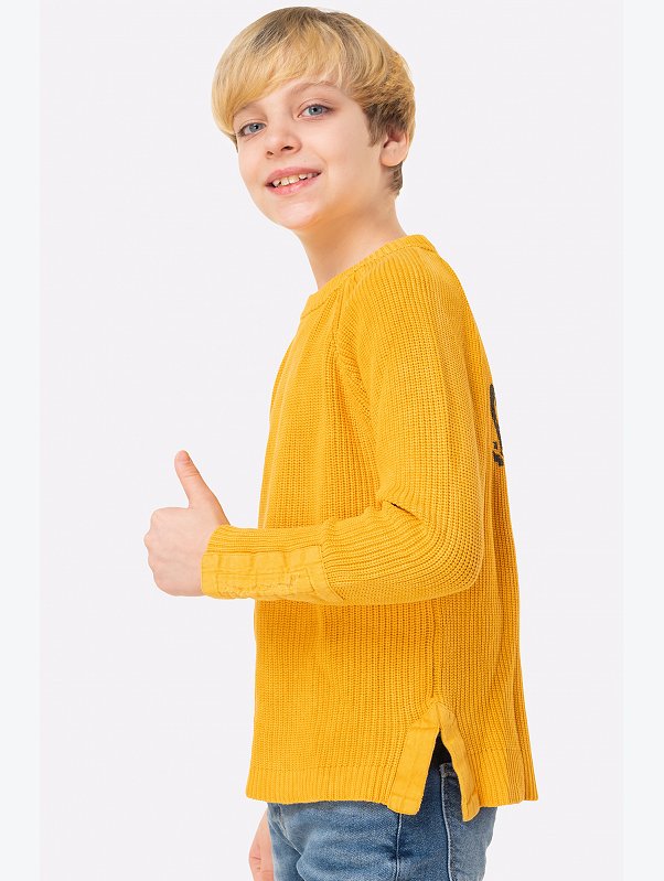 Джемпер для мальчика Bonito