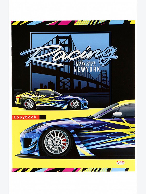 Набор тетрадей в линию 48 л. 5 шт. Prof-Press