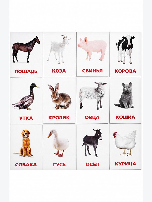 Обучающие карточки по методике Г. Домана Домашние животные и птицы ЛАС ИГРАС