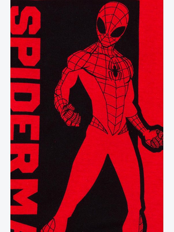 Футболка для мальчика Marvel