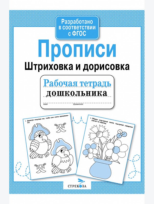 Набор рабочих тетрадей дошкольника 4 шт. Стрекоза