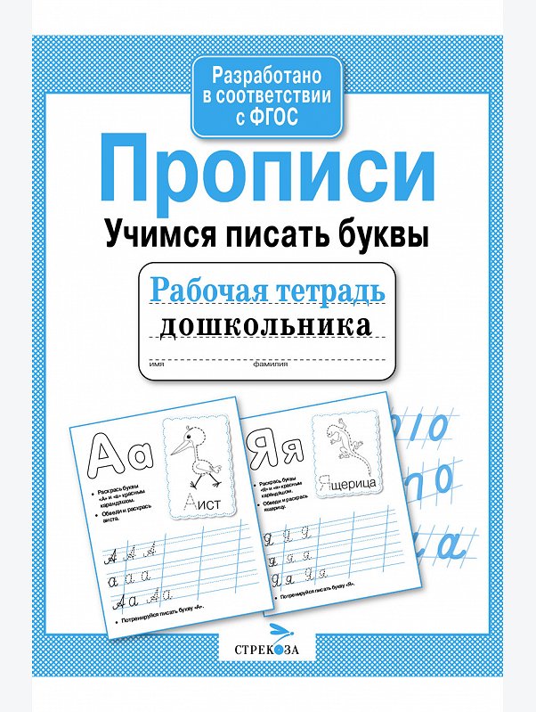 Набор рабочих тетрадей дошкольника 4 шт. Стрекоза