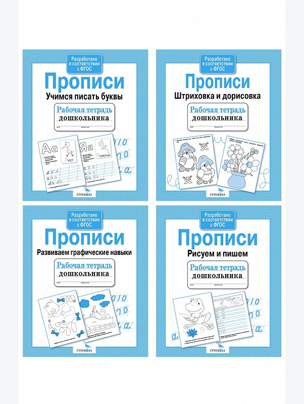 Набор рабочих тетрадей дошкольника 4 шт. Стрекоза