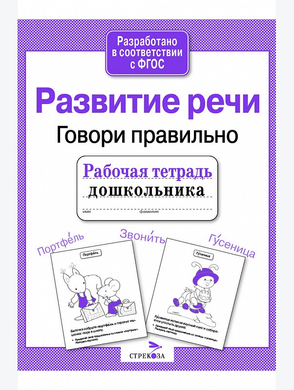 Набор рабочих тетрадей дошкольника 4 шт. Стрекоза