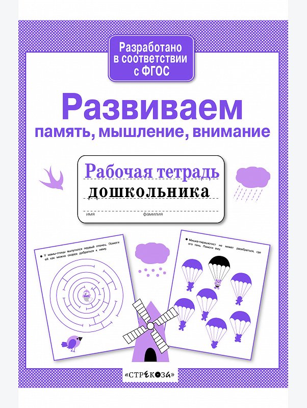 Набор рабочих тетрадей дошкольника 4 шт. Стрекоза